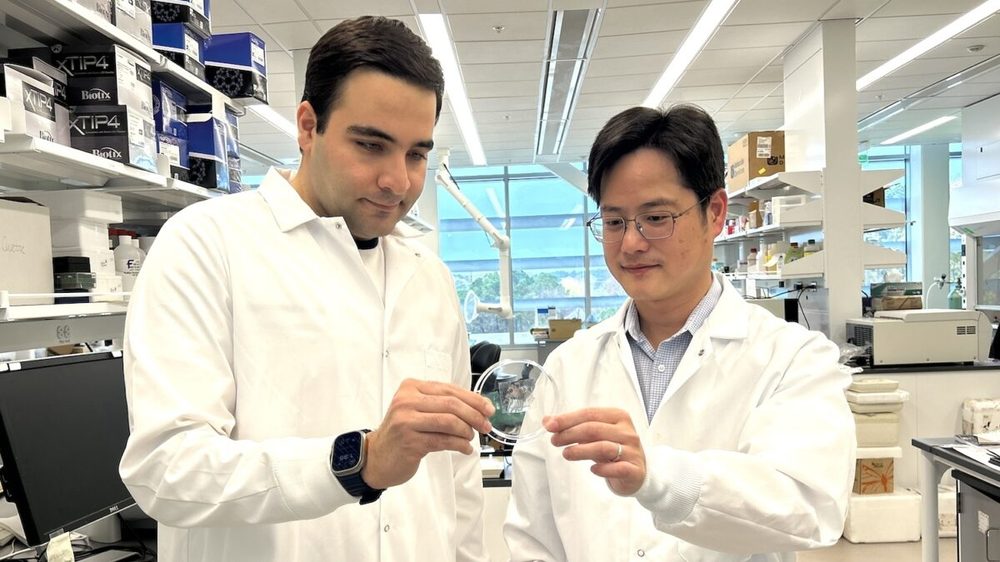 Sina Jamalzadegan in the lab examining a flexible sensor